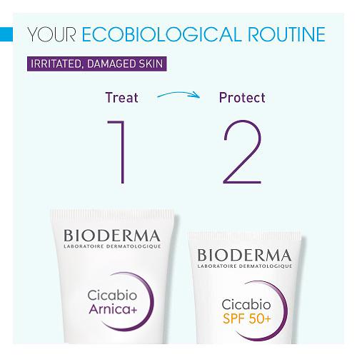 سيكابيو أرنيكا+